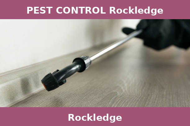 PEST CONTROL Rockledge